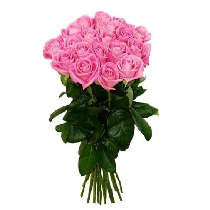 Rozā rožu pušķis
