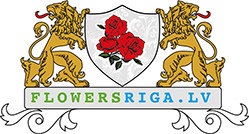 Ziedu piegāde kopš 2006.gada